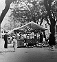 Il mercatino della Scavezza in piazza Capitaniato dal libro Padova 900 (Mauro Rostellato)